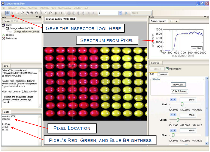 inspecting values in spectronon