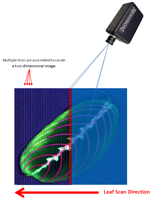 Diagram depicting image scan lines