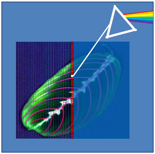 Diagram depicting passing a scanline through a prism