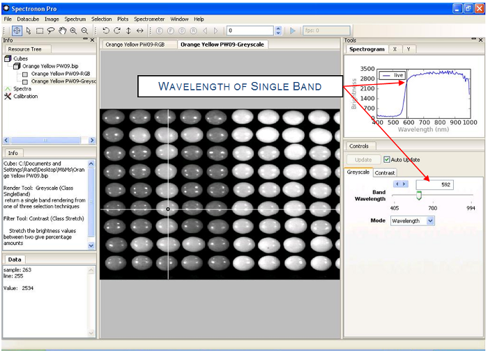 candies shown in greyscale